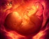 V Baby In Womb (Request)