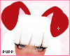 𝓟. Red Puppy Ears