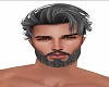 Mens Gray Beard