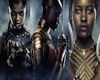 WAKANDA WOMEN FIGHTERS