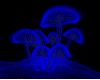Multi Colored Mushrooms