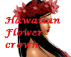 Hawaiian Flower Crown