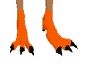 orange bird feet