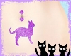 Purple Cat Piercing