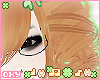 ♡ miley carrot