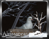 Winter Night Dove