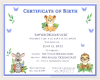 Birth Certificate SAWYER