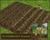 BLOOMNJOY Garden/Carrots