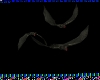 Transparent Flying Bats