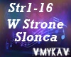 W STRONE SLONCA