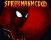 IW: Iron-Spider Mask v.2
