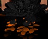 Black Fall Bouquet