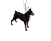 doberman animated