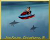 Jet ski dolphin ride