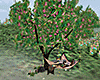 #oN Spring Tree Hammok