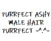 Purrfect  Ashy Male Hair