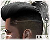 G`Archer Hair.Greyshine