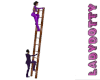ladder