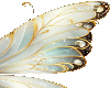 white and gold wings