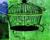 st patricks bird cage