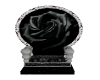 Black Rose Throne