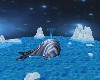 Stary night whale ride