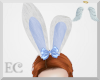 EC| Nadi's Easter Ears