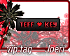 j| Teff  Key I  Key
