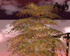A3D*Autumn Tree 2