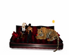 red sofa/tiger  animate
