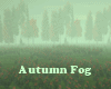 Autumn Fog