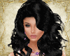 Bundle Purple