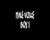 Male Voice Box 1