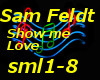 Sam Feldt-Show me Love