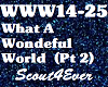 What A Wonderful World