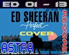 PERFECT ED SHEERAN COVER