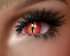 redish/orange eyes 2024