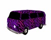 Purple Zebra Bus
