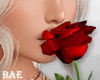 B| Red Rose V-Day
