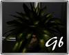 [GB]potted plants