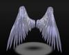 Arch Angel Wings