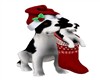 X-Mas Puppies