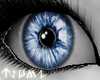 ~Tsu Blue Mirror Eyes