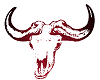 steer head
