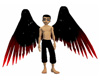 Blood-Tipped Angel Wings