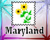 Maryland State Flower