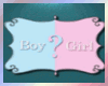 Gender Reveal Gift Box G