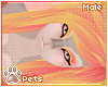 [Pets] Luci | hair v3