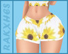 Sunflower Shorts