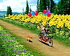 Springtime Bike Ride